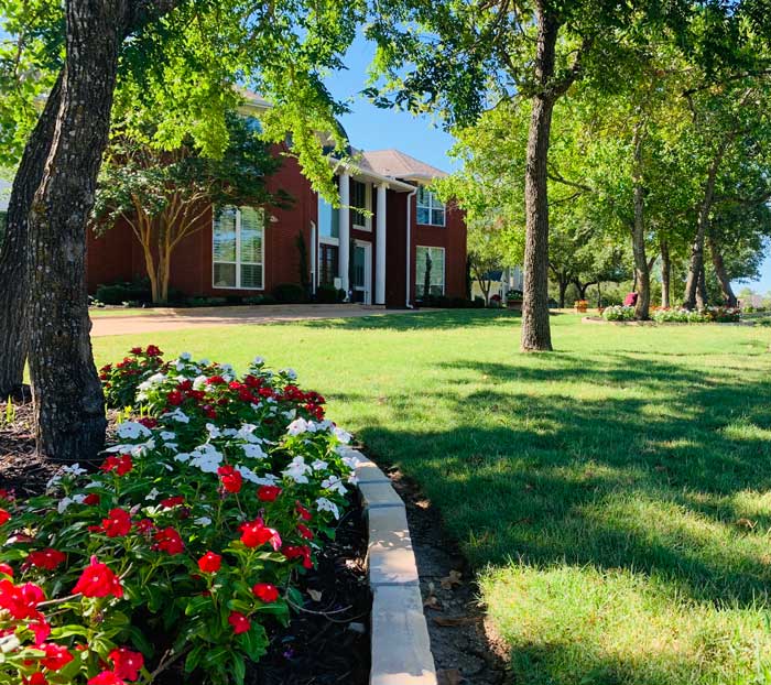 green grass and trees with a planter bed in front yard